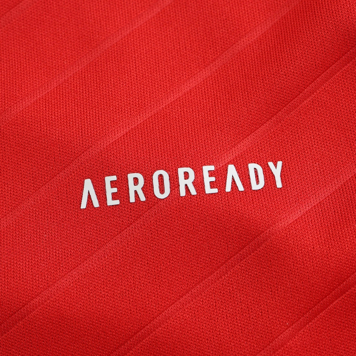 Home 24/25 Fan Shirt