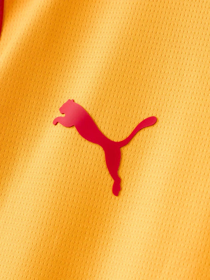 Third 26/27 Men's Fan Jersey 055