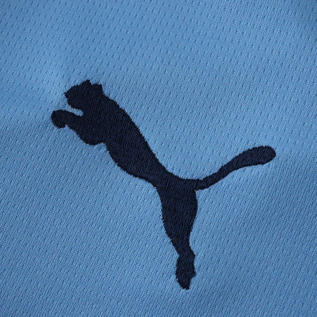 Home 25/26 Fan Shirt