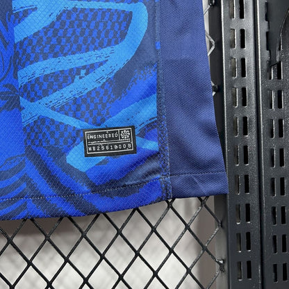Away 24/25 Fan Shirt