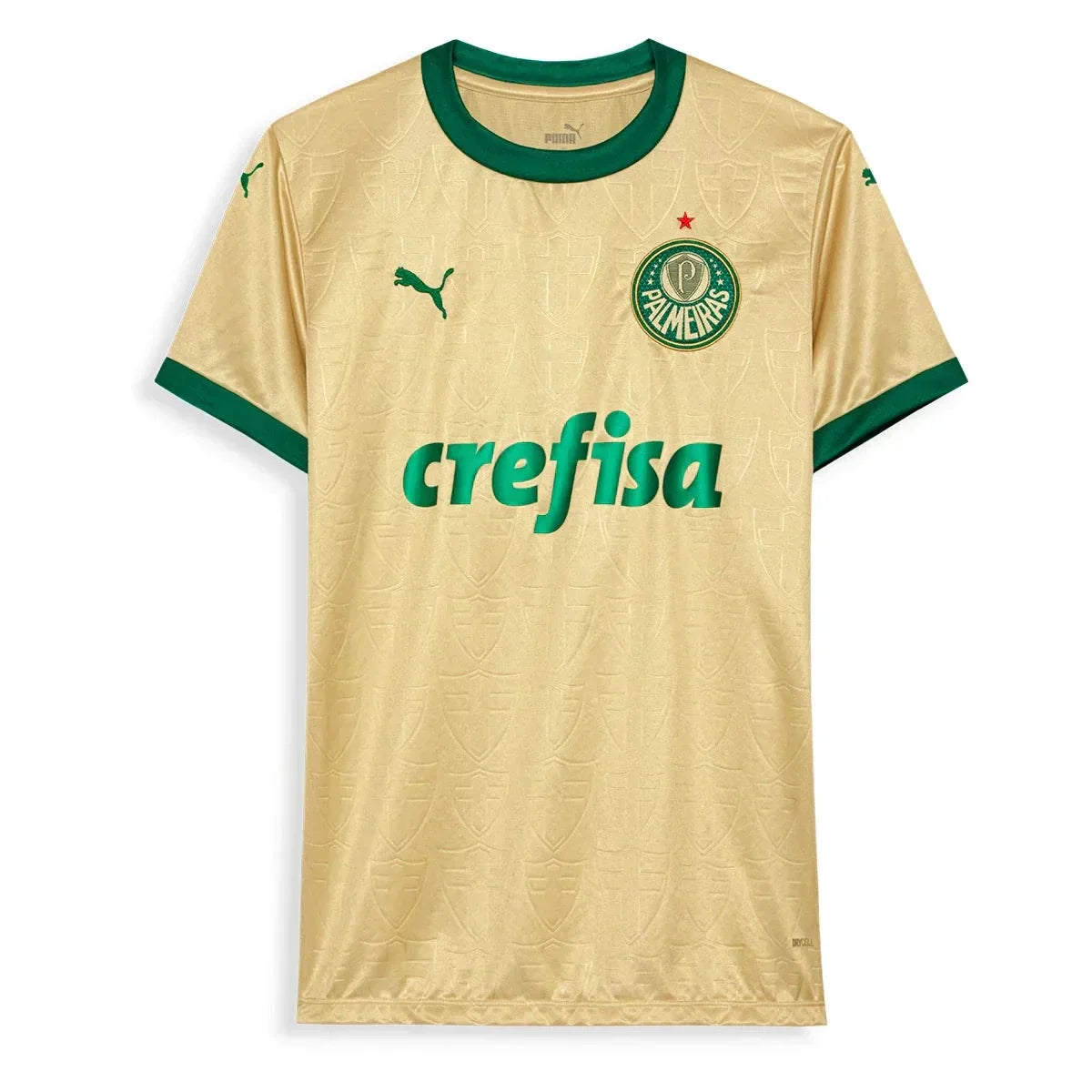 Jersey Palmeiras Third Women 2024-25