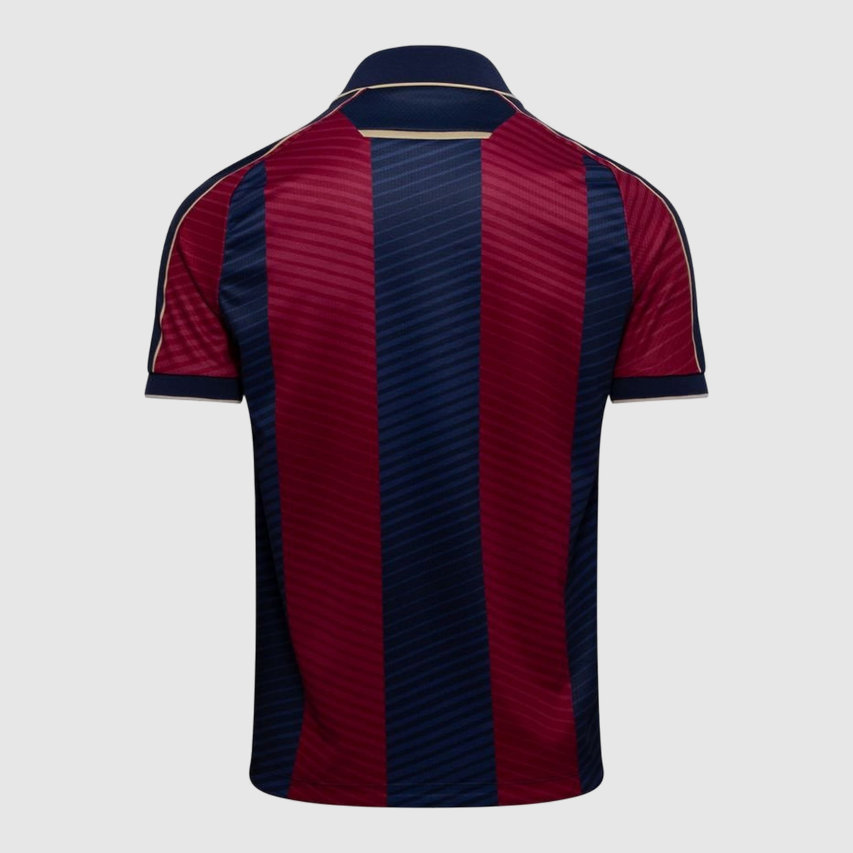 Home 25/26 Fan Shirt